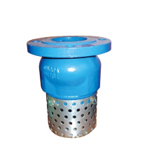 Foot valve with strainer